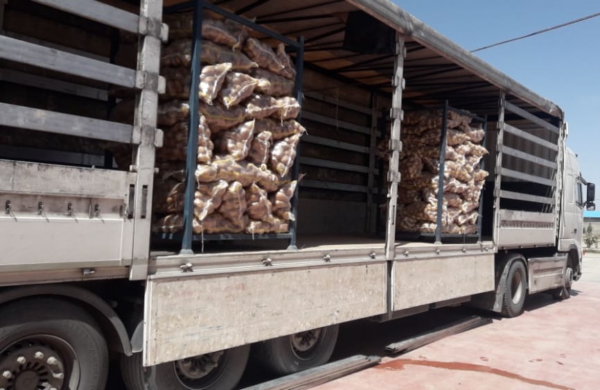 صادرات عمده سیب زمینی جلی به ازبکستان