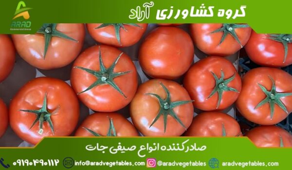 خرید گوجه فرنگی گلخانه ای + گوجه فرنگی گلخانه ای صادراتی