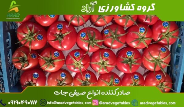 خرید گوجه فرنگی گلخانه ای + گوجه فرنگی گلخانه ای صادراتی