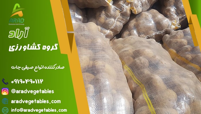 سورت سیب زمینی جلی برای صادرات به قطر