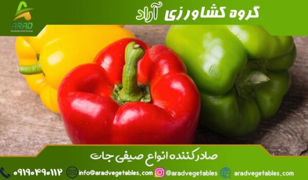 صادرات فلفل دلمه ای به روسیه + فروش