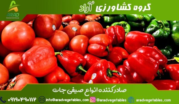 قیمت فلفل دلمه ای رنگی صادراتی عمده تیران و کرون