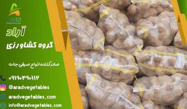 قیمت صادرات سیب زمینی به روسیه + بسته بندی صادراتی