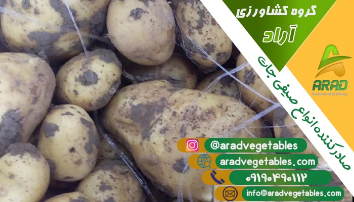صادرات سیب زمینی به افغانستان + خرید و فروش
