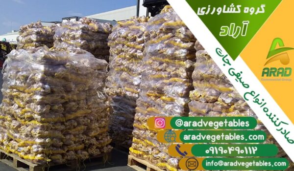 فروش سیب زمینی همدان