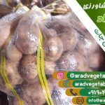 سیب زمینی صادراتی کرمانشاه