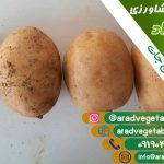 صادرات سیب زمینی به ارمنستان + خرید و فروش
