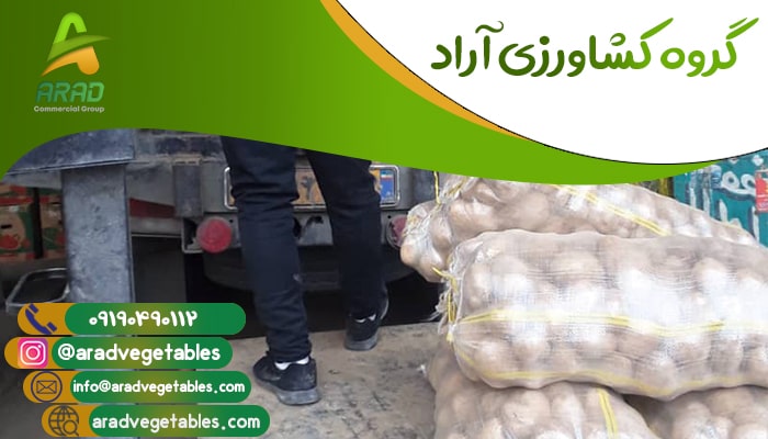 قیمت فروش سیب زمینی در شیراز