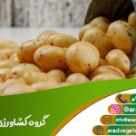 قیمت جهت صادرات سیب زمینی به آذربایجان