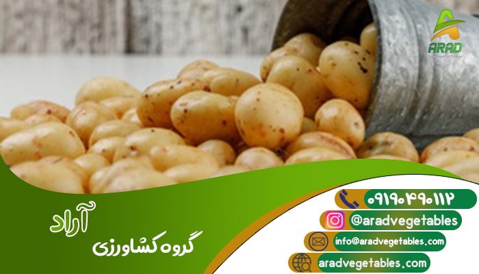 قیمت جهت صادرات سیب زمینی به آذربایجان
