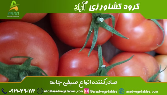 فروش گوجه فرنگی گلخانه ای جهت صادرات