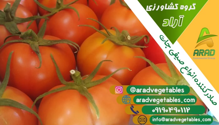 قیمت گوجه فرنگی سورت امارات
