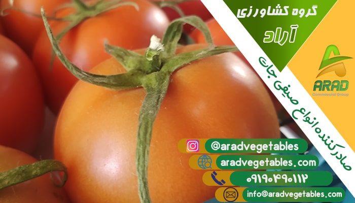 قیمت گوجه فرنگی گلخانه ایی + سورت روسیه