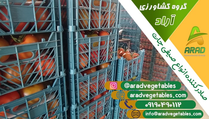 گوجه فرنگی گلخانه ای عمده + خرید و فروش و قیمت