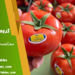 خرید و قیمت گوجه فرنگی گلخانه ای - کشاورزی آراد