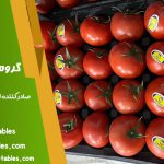 قیمت گوجه فرنگی گلخانه ای صادراتی - کشاورزی آراد