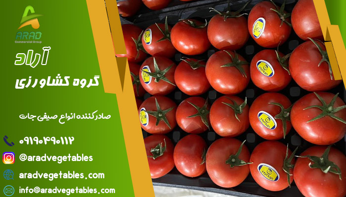 قیمت گوجه فرنگی گلخانه ای صادراتی - کشاورزی آراد