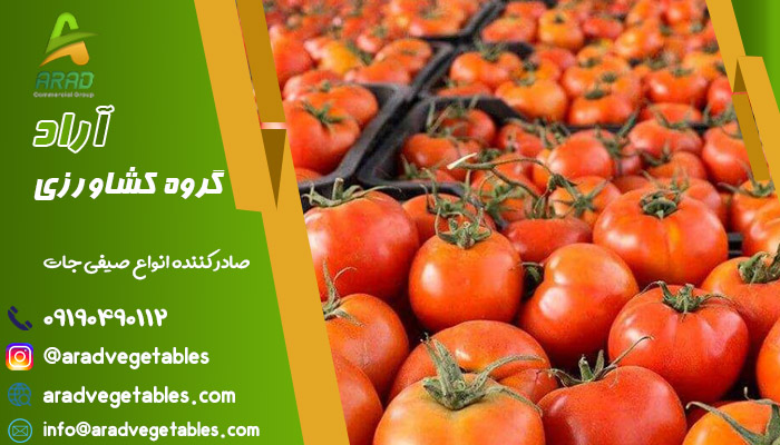 قیمت گوجه فرنگی گلخانه ای صادراتی
