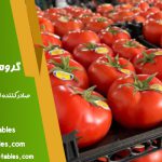 گوجه فرنگی گلخانه ای با قیمت مناسب