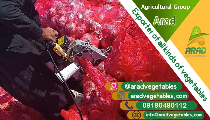 صادرات پیاز به عمان + خرید مستقیم