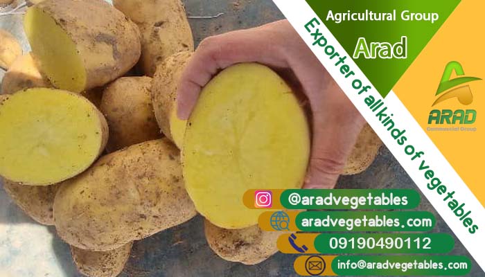 قیمت سیب زمینی صادراتی (Price List) + مستقیم از تولیدی