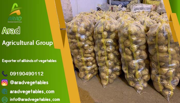 خرید عمده سیب زمینی ارزان Hamedan + قیمت استثنائی