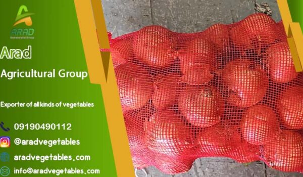 پیاز صادراتی با قیمت مناسب + از 12/000 تا 30/000 تومان