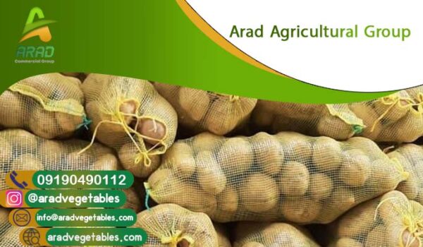 فروش عمده سیب زمینی تهران + قیمت مناسب