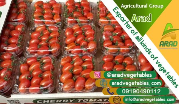 گوجه فرنگی گلخانه ای - مرکز فروش عمده گوجه فرنگی گلخانه ای