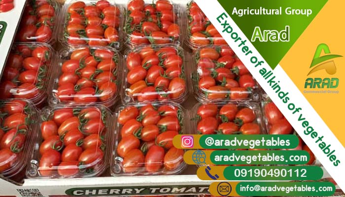 گوجه فرنگی گلخانه ای - مرکز فروش عمده گوجه فرنگی گلخانه ای