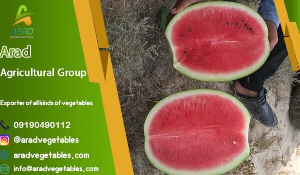 فروش هندوانه صادراتی + قیمت هندوانه